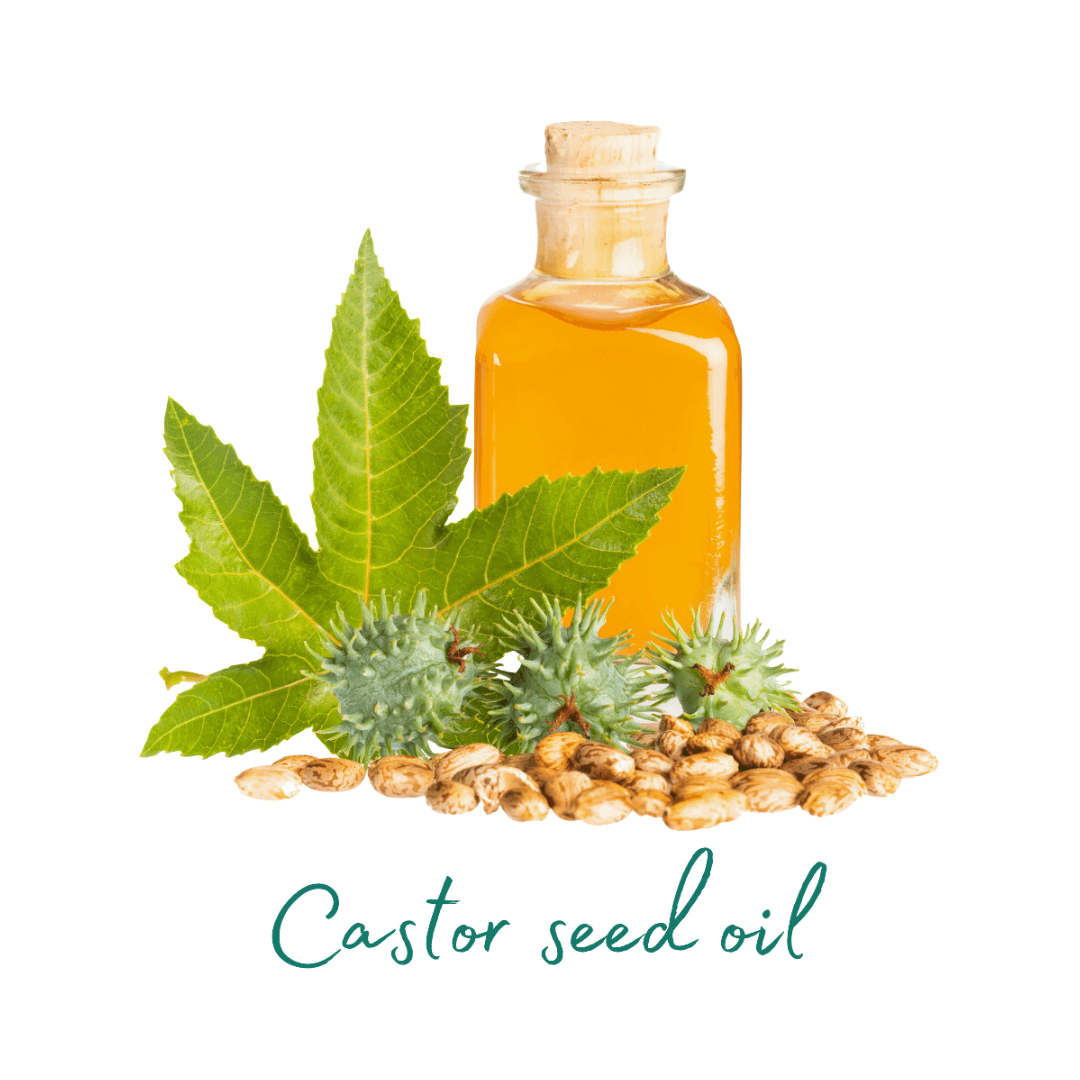 Castor seed oil in a glass bottle with green leaves and seeds on a black background.